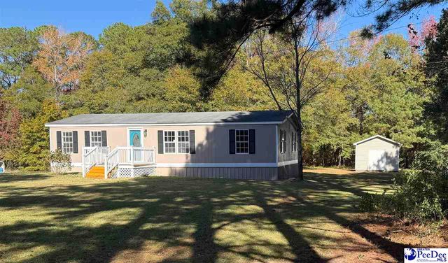 302 McCowns Millpond Rd, Darlington, SC 29540