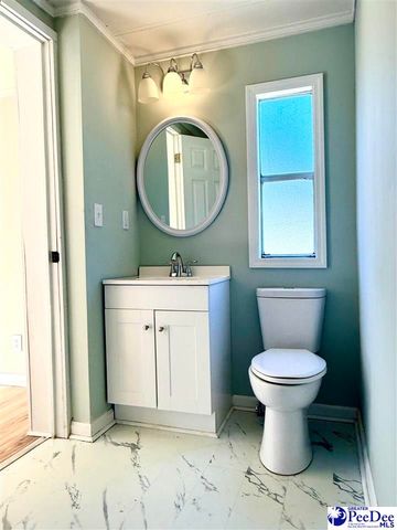 302 McCowns Millpond Rd, Darlington, SC 29540