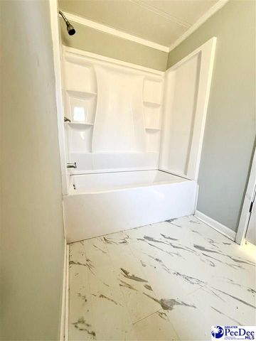 302 McCowns Millpond Rd, Darlington, SC 29540