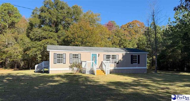 302 McCowns Millpond Rd, Darlington, SC 29540