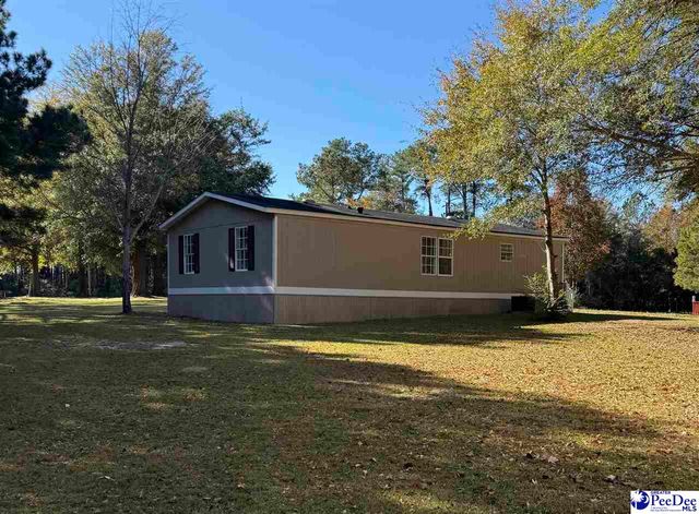 302 McCowns Millpond Rd, Darlington, SC 29540