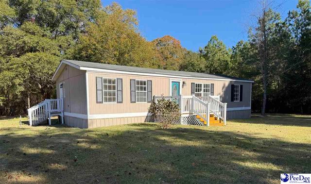 302 McCowns Millpond Rd, Darlington, SC 29540