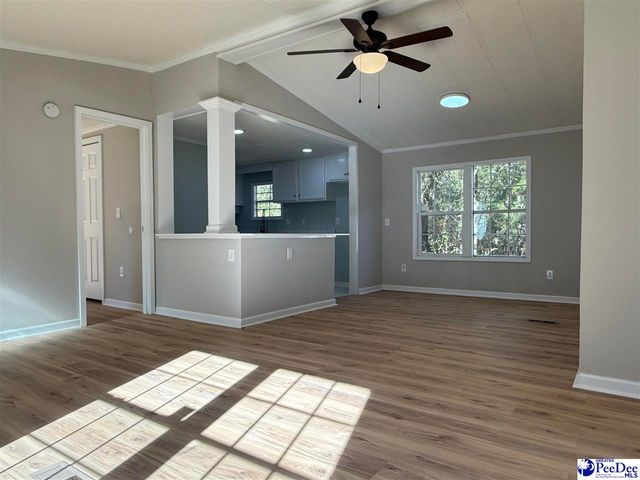 302 McCowns Millpond Rd, Darlington, SC 29540