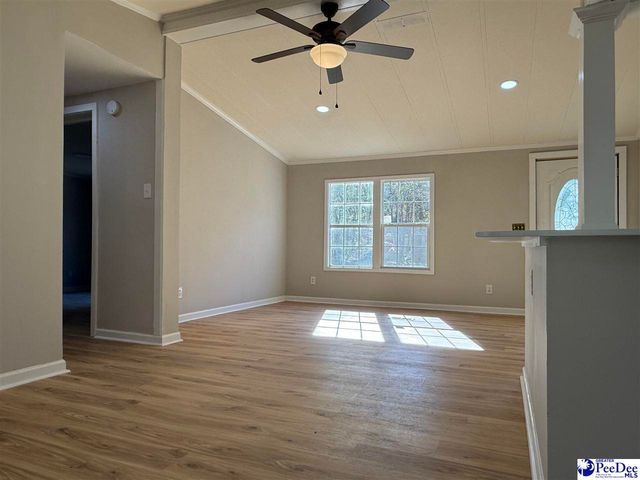 302 McCowns Millpond Rd, Darlington, SC 29540