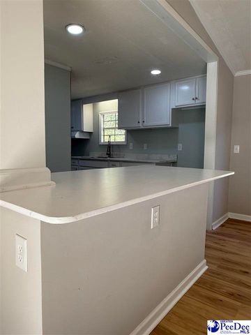 302 McCowns Millpond Rd, Darlington, SC 29540