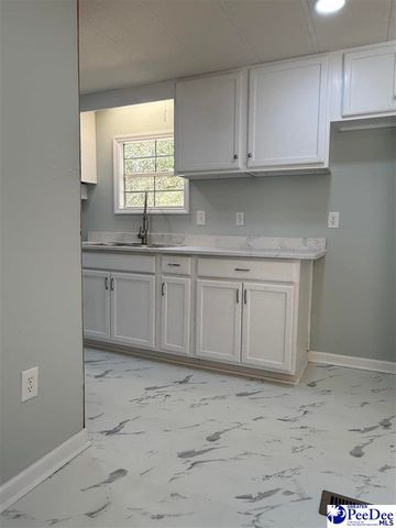 302 McCowns Millpond Rd, Darlington, SC 29540