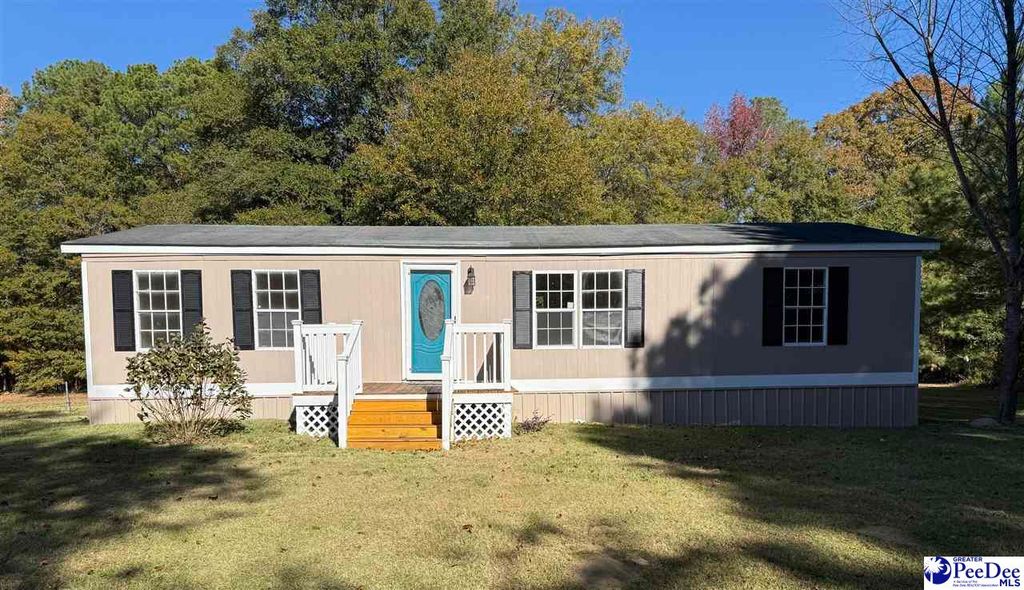 302 McCowns Millpond Rd, Darlington, SC 29540
