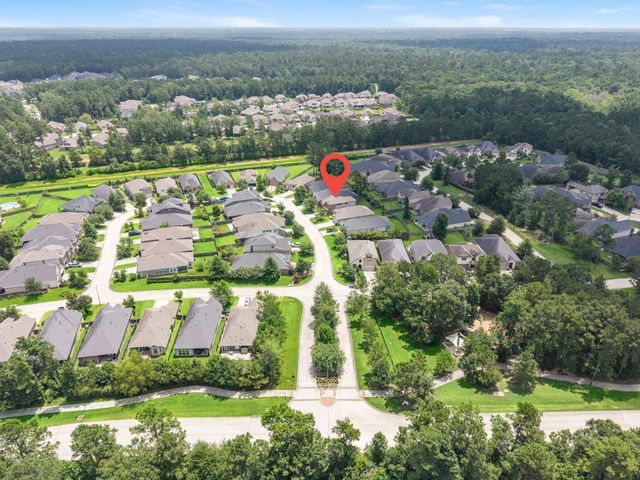 124 Buckeye Drive, Montgomery, TX 77316