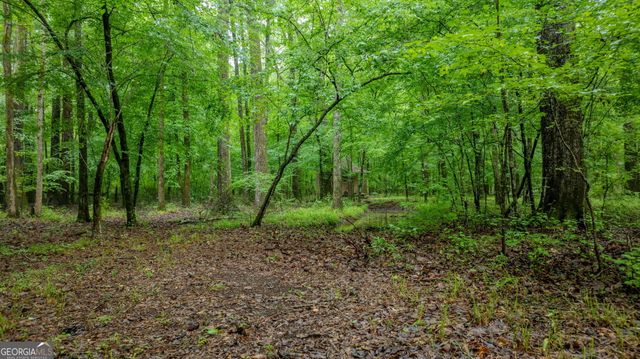 699 Bankstown Road, Brooks, GA 30205