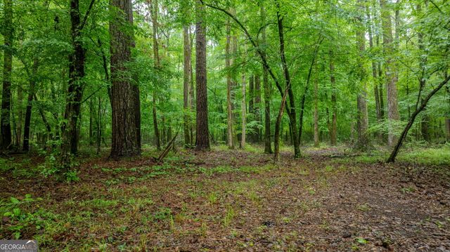 699 Bankstown Road, Brooks, GA 30205