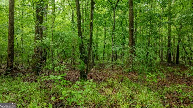 699 Bankstown Road, Brooks, GA 30205