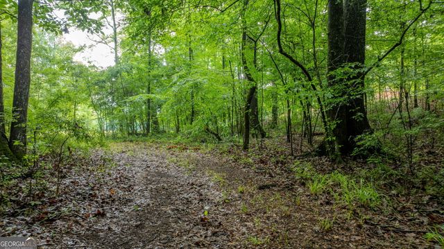 699 Bankstown Road, Brooks, GA 30205