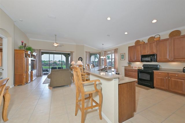 1330 EMERALD DUNES DRIVE, Sun City Center, FL 33573
