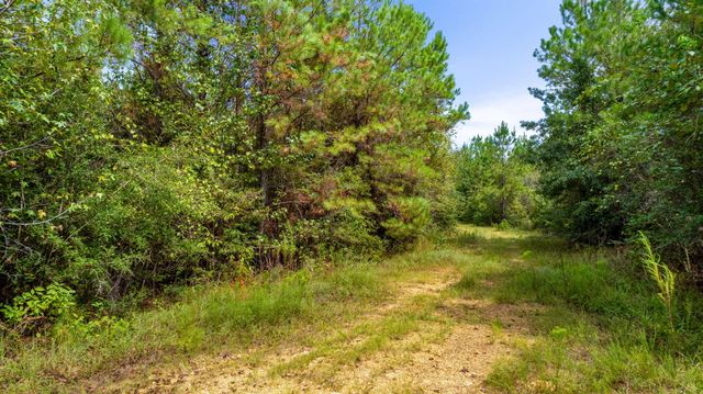 000 Rockhill To Lumberton Rd., Purvis, MS 39475