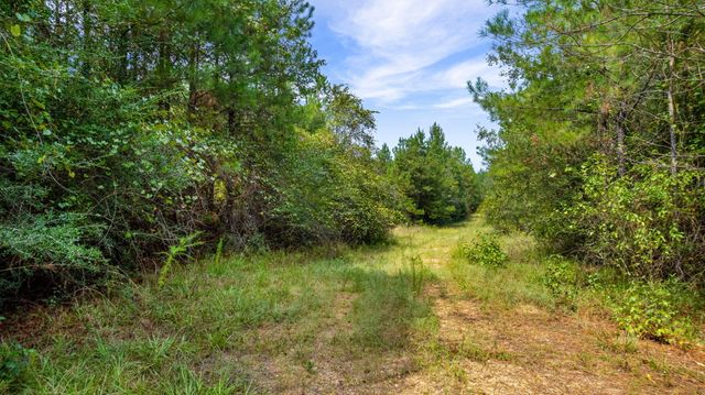 000 Rockhill To Lumberton Rd., Purvis, MS 39475