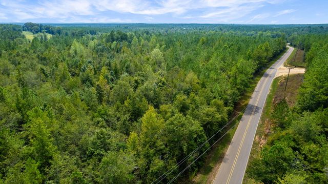 000 Rockhill To Lumberton Rd., Purvis, MS 39475