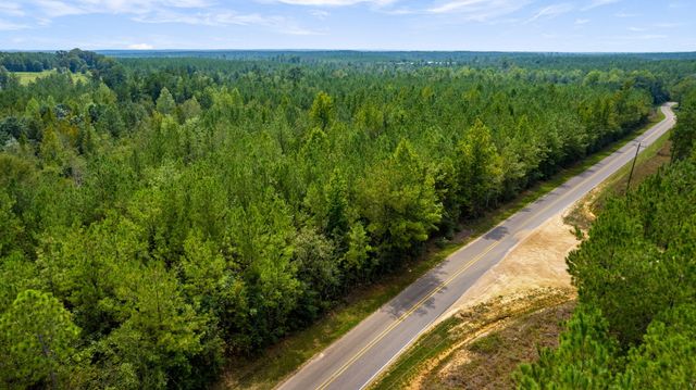 000 Rockhill To Lumberton Rd., Purvis, MS 39475