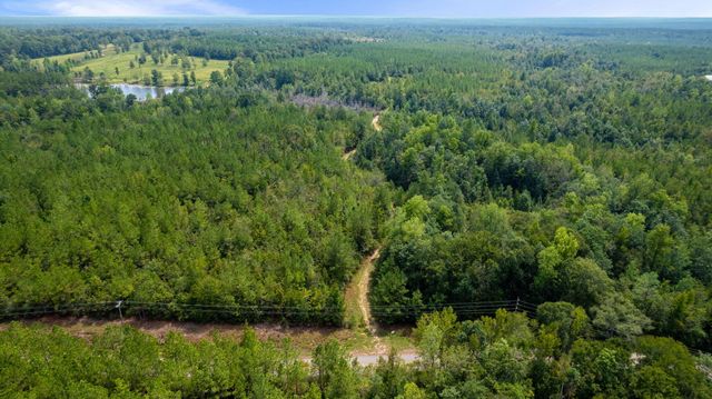 000 Rockhill To Lumberton Rd., Purvis, MS 39475