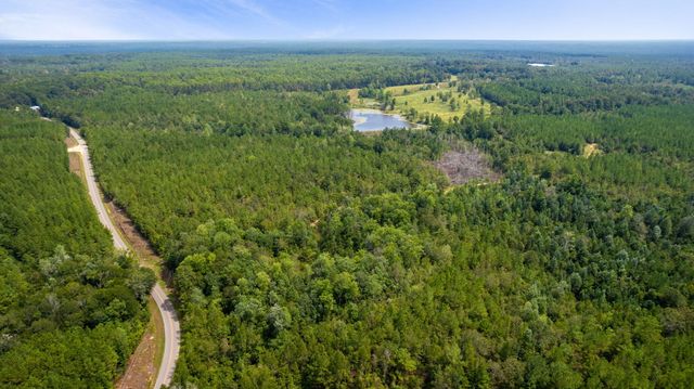 000 Rockhill To Lumberton Rd., Purvis, MS 39475