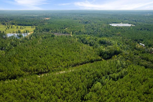 000 Rockhill To Lumberton Rd., Purvis, MS 39475