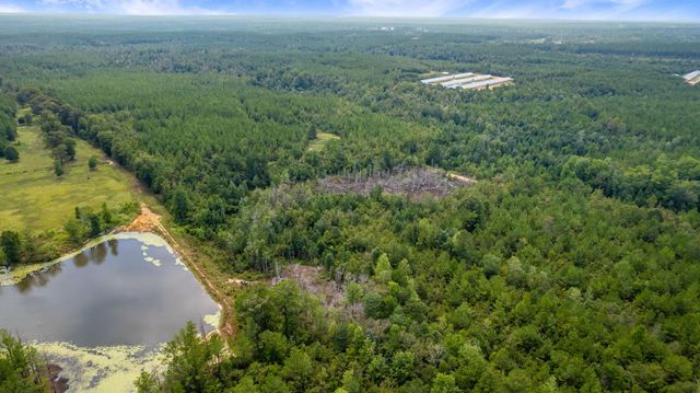 000 Rockhill To Lumberton Rd., Purvis, MS 39475