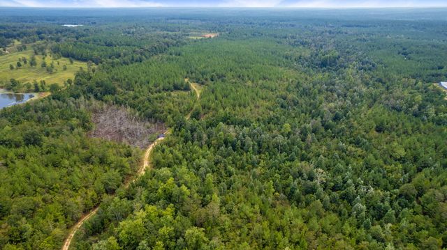 000 Rockhill To Lumberton Rd., Purvis, MS 39475