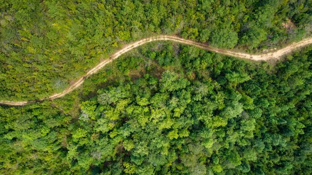 000 Rockhill To Lumberton Rd., Purvis, MS 39475