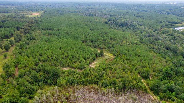 000 Rockhill To Lumberton Rd., Purvis, MS 39475