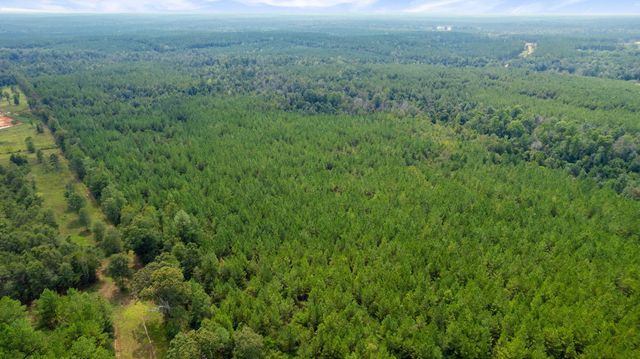 000 Rockhill To Lumberton Rd., Purvis, MS 39475