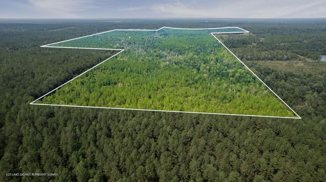 000 Rockhill To Lumberton Rd., Purvis, MS 39475