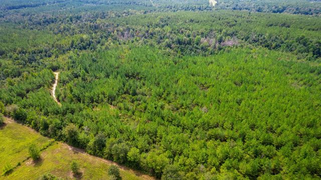 000 Rockhill To Lumberton Rd., Purvis, MS 39475