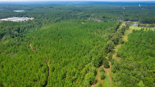 000 Rockhill To Lumberton Rd., Purvis, MS 39475