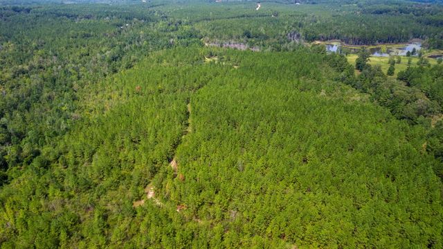 000 Rockhill To Lumberton Rd., Purvis, MS 39475