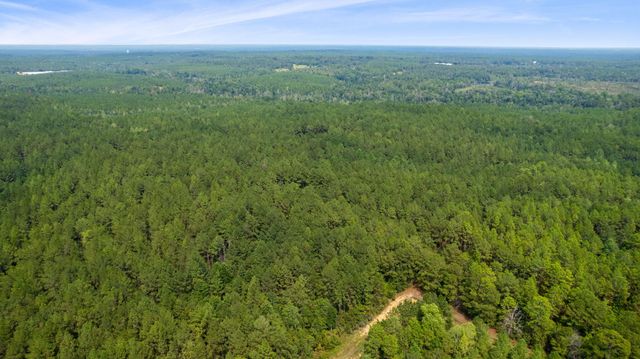 000 Rockhill To Lumberton Rd., Purvis, MS 39475