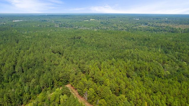 000 Rockhill To Lumberton Rd., Purvis, MS 39475