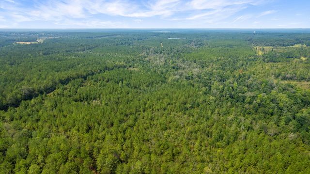 000 Rockhill To Lumberton Rd., Purvis, MS 39475