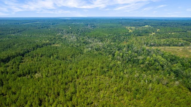 000 Rockhill To Lumberton Rd., Purvis, MS 39475