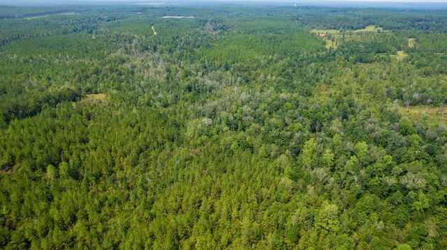 000 Rockhill To Lumberton Rd., Purvis, MS 39475