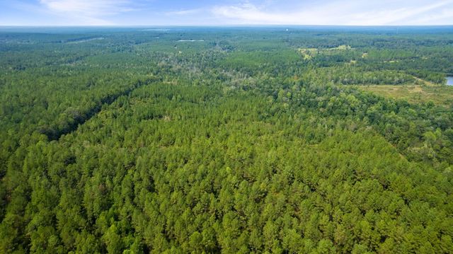 000 Rockhill To Lumberton Rd., Purvis, MS 39475