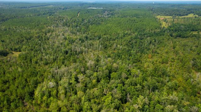 000 Rockhill To Lumberton Rd., Purvis, MS 39475