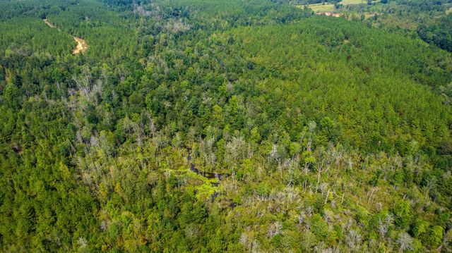 000 Rockhill To Lumberton Rd., Purvis, MS 39475