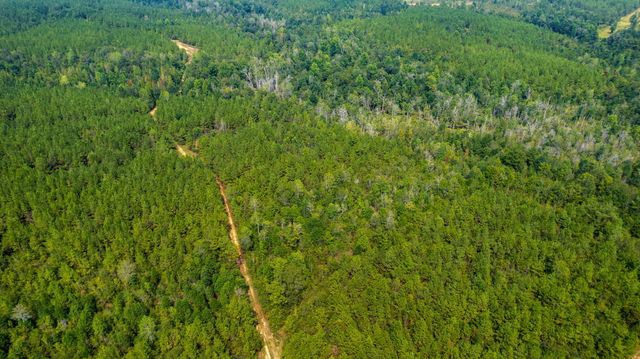 000 Rockhill To Lumberton Rd., Purvis, MS 39475