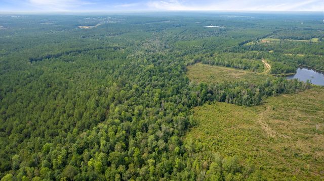 000 Rockhill To Lumberton Rd., Purvis, MS 39475