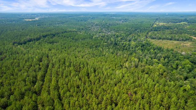 000 Rockhill To Lumberton Rd., Purvis, MS 39475