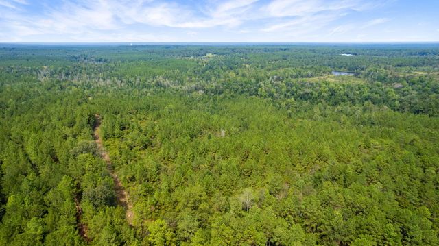 000 Rockhill To Lumberton Rd., Purvis, MS 39475