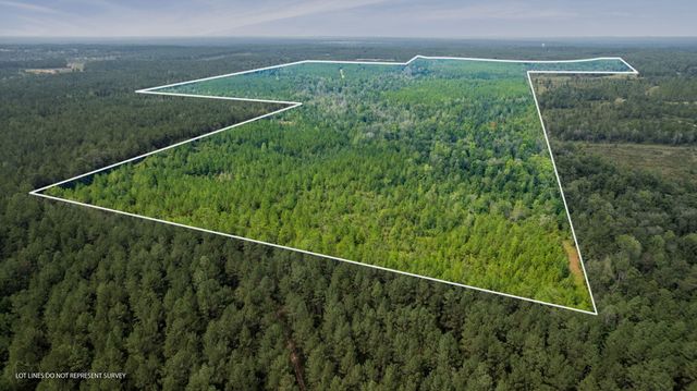 000 Rockhill To Lumberton Rd., Purvis, MS 39475