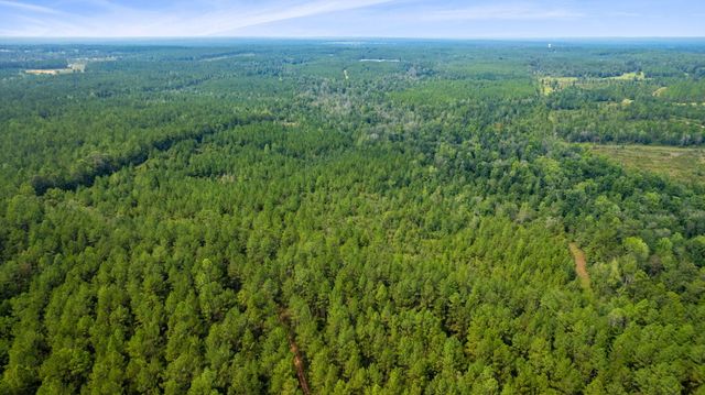 000 Rockhill To Lumberton Rd., Purvis, MS 39475