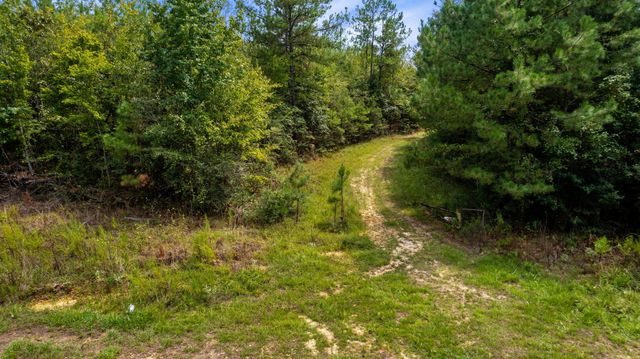 000 Rockhill To Lumberton Rd., Purvis, MS 39475