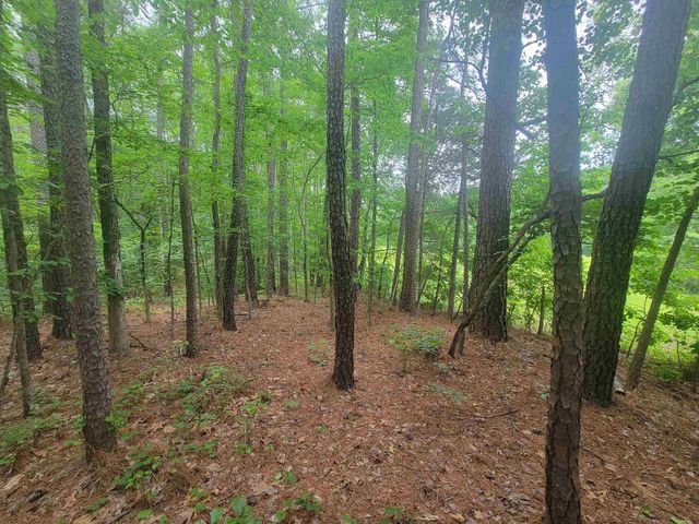 3217 Rowena Avenue, Durham, NC 27703