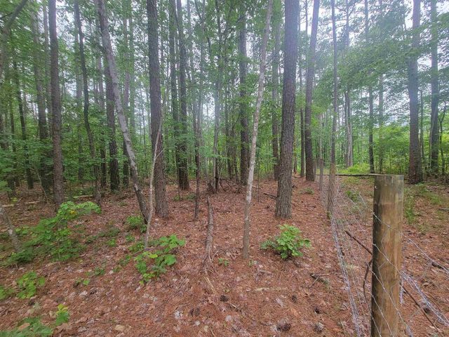 3217 Rowena Avenue, Durham, NC 27703